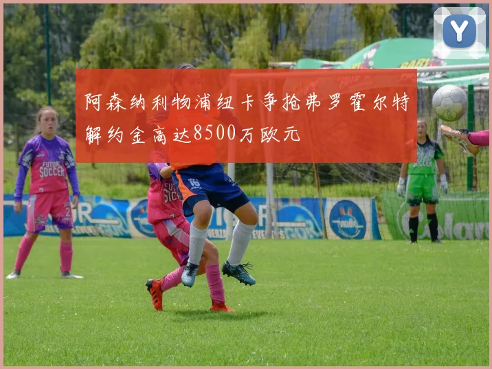 阿森纳利物浦纽卡争抢弗罗霍尔特解约金高达8500万欧元