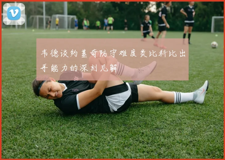 韦德谈约基奇防守难度类比科比出手能力的深刻见解